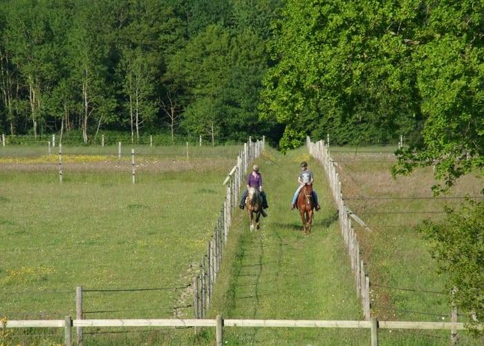 balade-paddocks