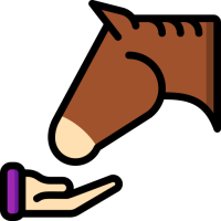 cheval-main